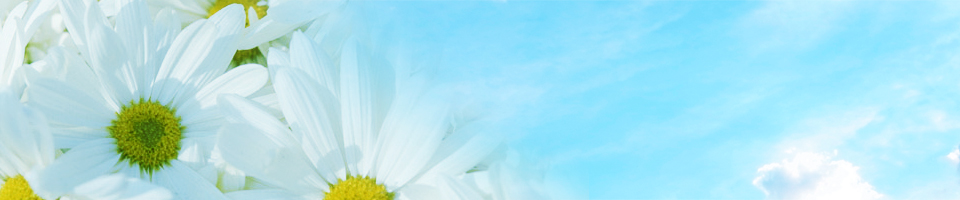 優樹法律事務所　弁護士紹介